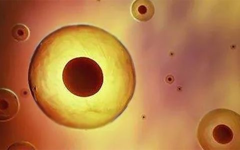 我国干细胞疗法更上一个台阶