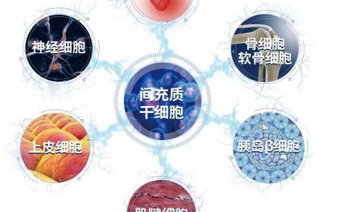 干细胞生物产业受国家支持吗？