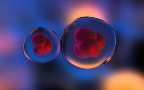 干细胞究竟能冻存多少年？