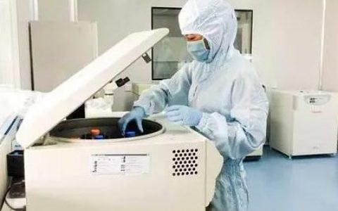 干细胞存储和免疫细胞存储有啥不同？都有啥用？