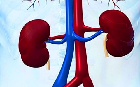 干细胞治疗对肾病临床疗效评估如何？