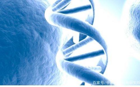 干细胞美容实现抗衰老，改善肌肤岁月问题