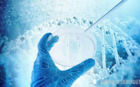 远离癌症，NK免疫细胞能做点什么？