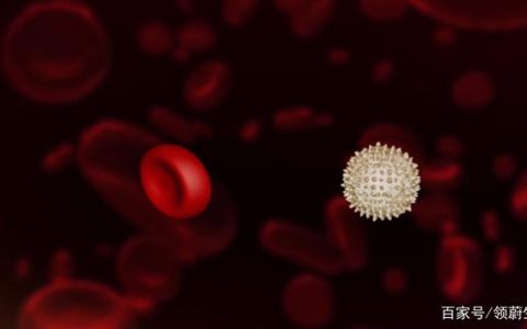 《Nature》颠覆性发现！器官中25%细胞竟是免疫细胞！