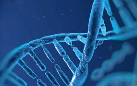 干细胞产业保持发展 有望给更多病人带来福音