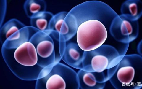 央视报道：院士解密干细胞抗衰