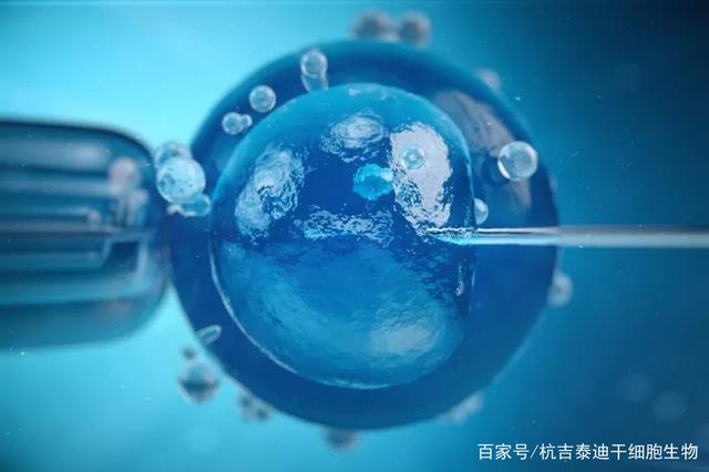 研究发现，干细胞这三大机制可促进脑缺血后神经修复