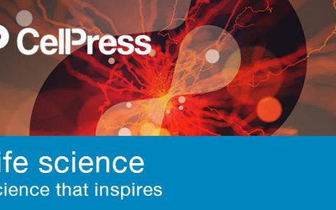 杜鹏团队首次实现全能干细胞捕获和培养