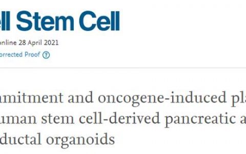 国家重点专项支持！用干细胞来制造和修复器官