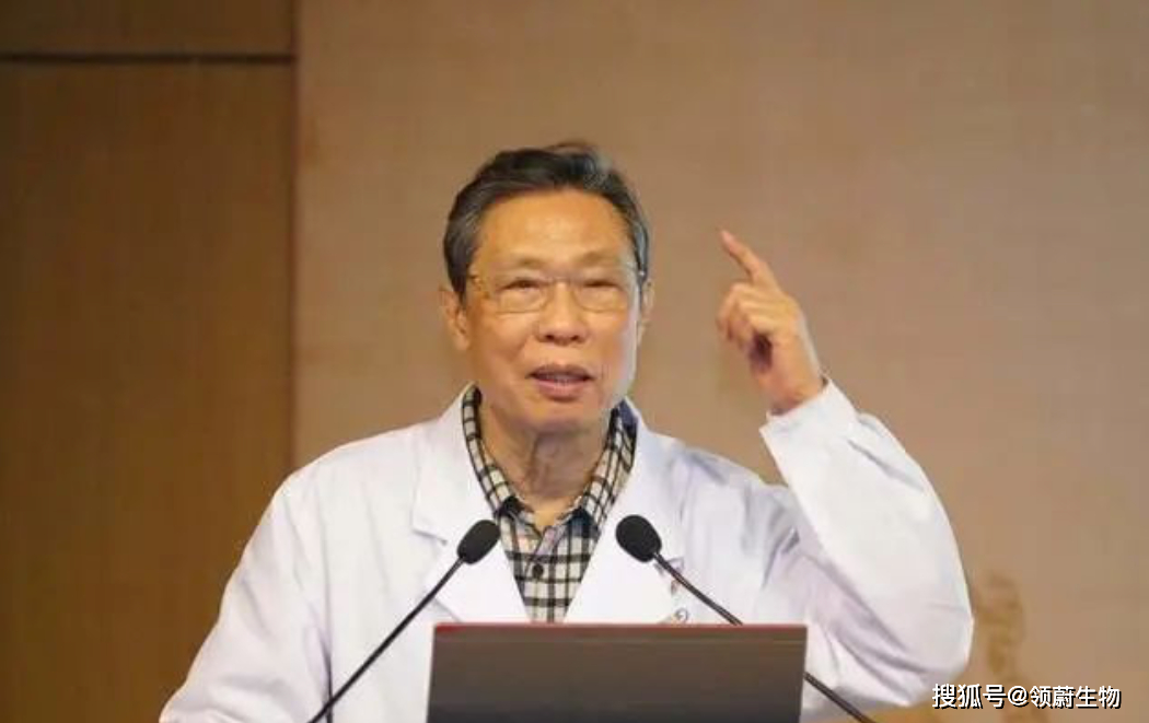自动草稿