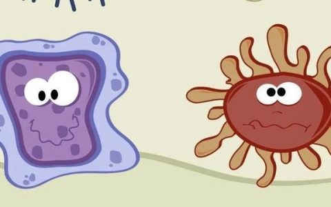 最新研究！间充质干细胞具有明显的抗菌效力，感染性疾病迎新希望