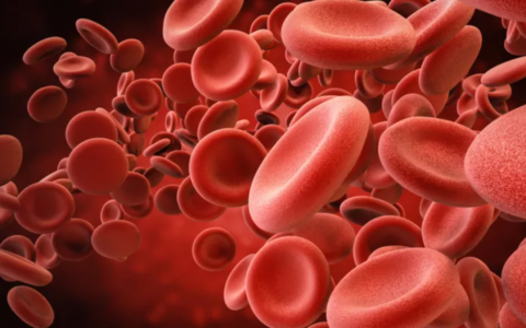 Nature子刊：人体干细胞移植疗效提升有望！抗衰物质NR凸显神通