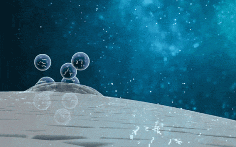 干细胞技术的下一个发展方向：外泌体