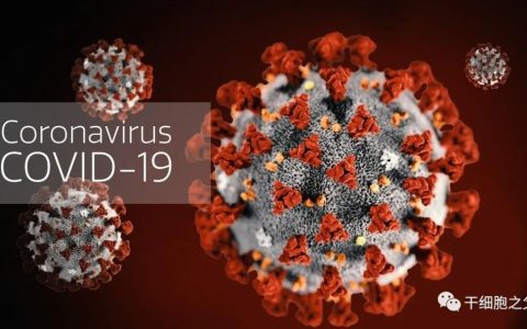 研究显示：COVID-19重症患者接受干细胞治疗，存活率至少提高2.5倍