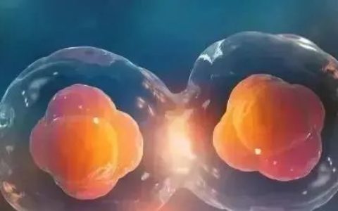 汇总|2022年国内细胞与基因治疗领域投融资（截止2022年10月）