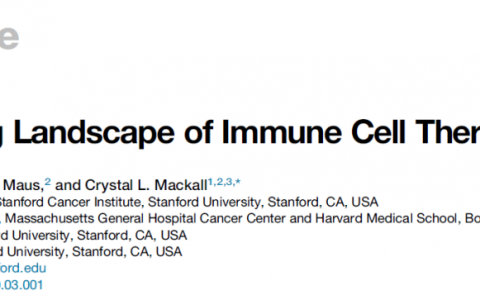 Cell：免疫细胞疗法的未来发展蓝图