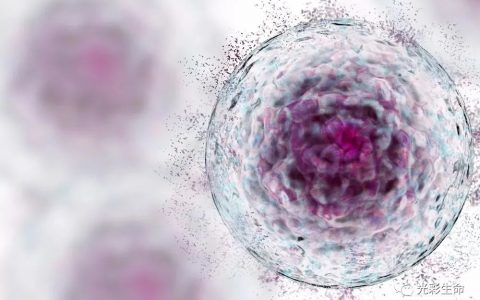 想了解干细胞，读这篇就够了