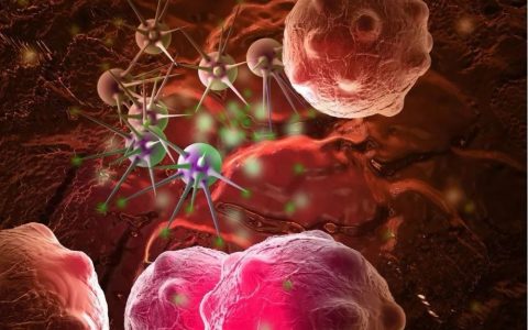 干细胞正在让更多不可能变为可能！