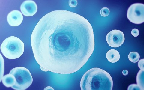 生物医药产业再添新平台 绍兴干细胞与再生医学创新中心成立