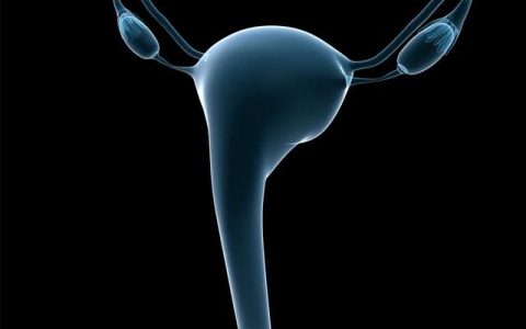 干细胞改善卵巢功能临床数据集锦