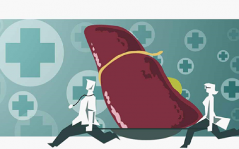 肝衰竭治疗的新策略——间充质干细胞移植