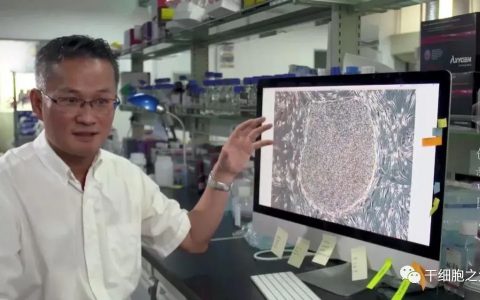 央视报道：干细胞疗法给难治性疾病带来治愈希望！