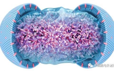 再生医学在医疗美容领域的作用与优势