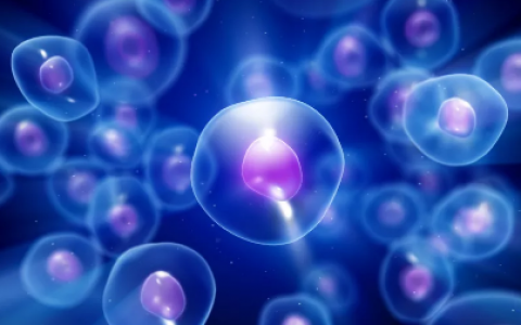 你的免疫细胞也会“精疲力尽”，回输细胞是解决之道