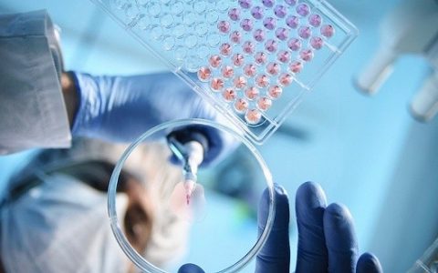 间充质干细胞疗法的起源与发展