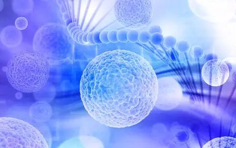 干细胞治疗有望破局 肺纤维化