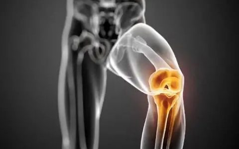 不同来源干细胞移植治疗骨关节炎的临床