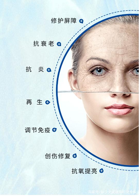 外泌体如何从细胞层面实现抗衰？
