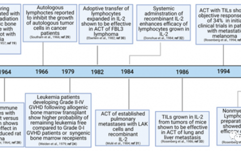 使用TIL进行细胞疗法：驯服T细胞以对抗癌症