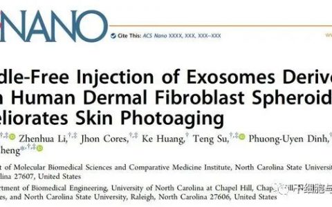 爱美女性的福音！无针“外泌体”疗法可轻松清除皱纹