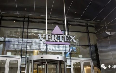 世界首例丨1型糖友通过90天干细胞治疗，胰岛素使用量减少91%！