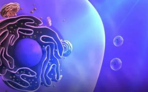 间充质干细胞外泌体给组织再生带来全新希望！