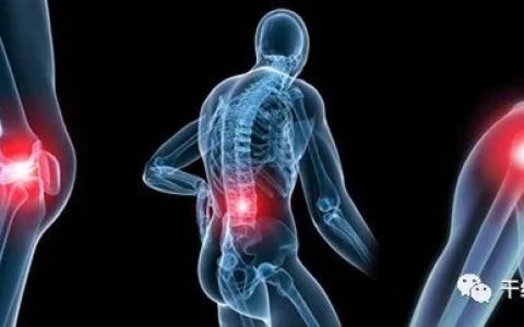 外泌体成为骨关节炎的新兴治疗方案