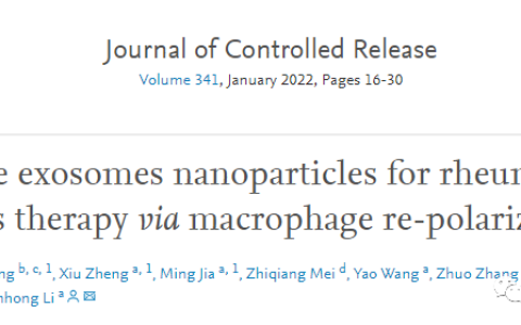 M2型巨噬细胞衍生的外泌体共递药纳米粒通过巨噬细胞极化靶向治疗类风湿性关节炎