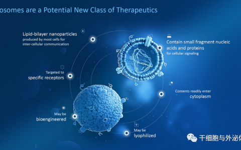 细胞疗法关键不在细胞，外泌体可能更重要