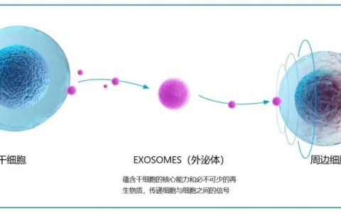 外泌体只有两种保存方式，不是每种“外泌体”都是真正的外泌体
