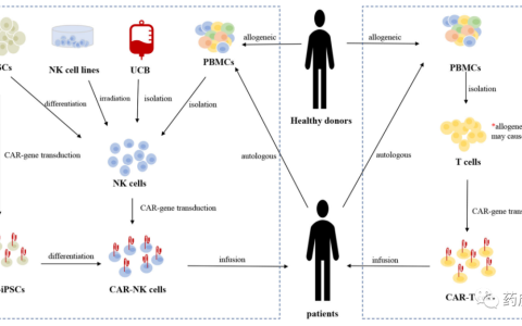 CAR-NK细胞的临床试验介绍