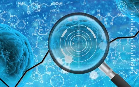 简述干细胞的五项作用