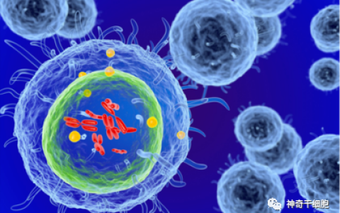 政策利好！2021年我国多个地方政府发文大力支持干细胞治疗、免疫细胞治疗、基因治疗与基因编辑的产业发展！