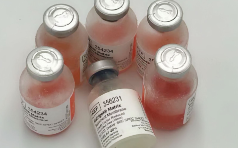 学习|类器官纸上谈兵系列：3D 类器官与基质胶