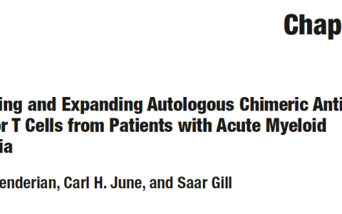 AML的CAR-T扩增方案