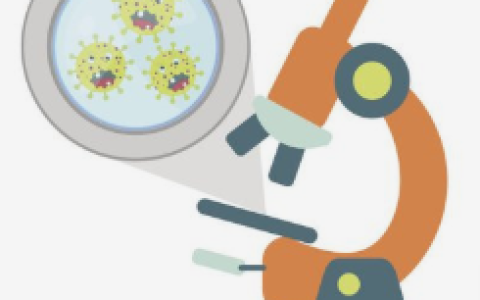 什么是干细胞，干细胞有哪些？