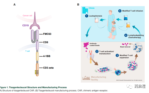 在关键临床试验期间优化 CAR-T 细胞制造工艺