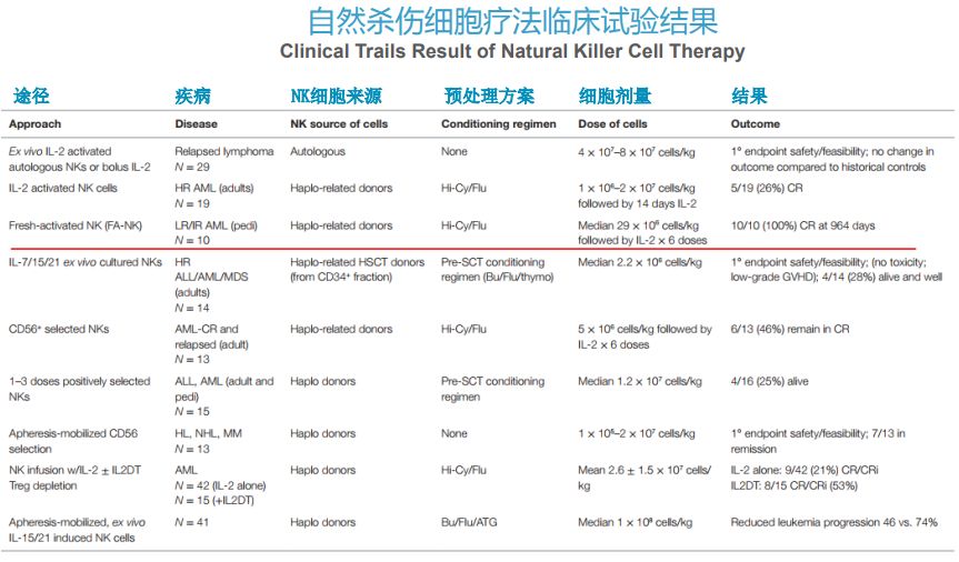 自然杀伤NK细胞丨人体免疫的广谱杀手，防癌、抵御病毒、抗衰老一肩挑