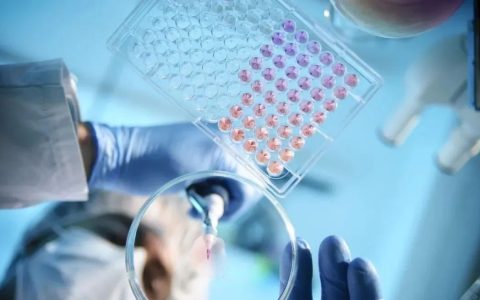 索尔克生物研究所 | 细胞再生疗法可安全逆转衰老迹象