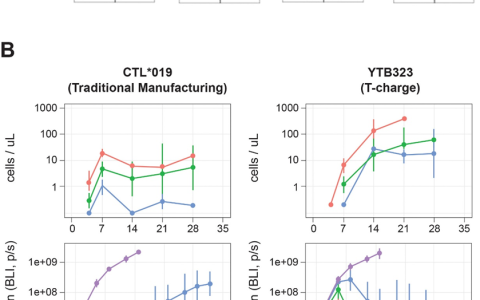 介绍诺华T-chargeTM工艺的CD19 CAR-T